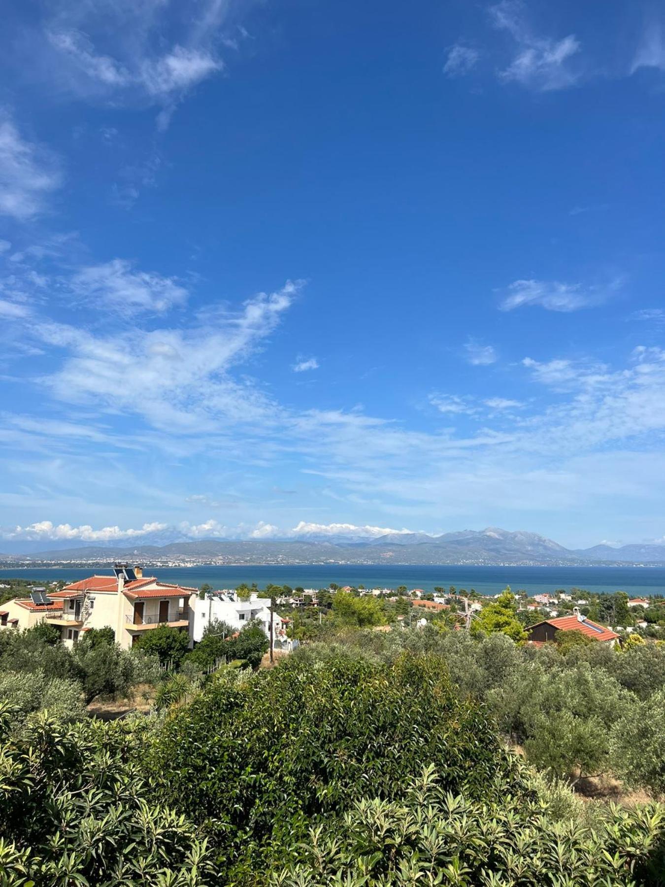 Villa Xenia'S Seaview House à Paralia Avlidhos Extérieur photo